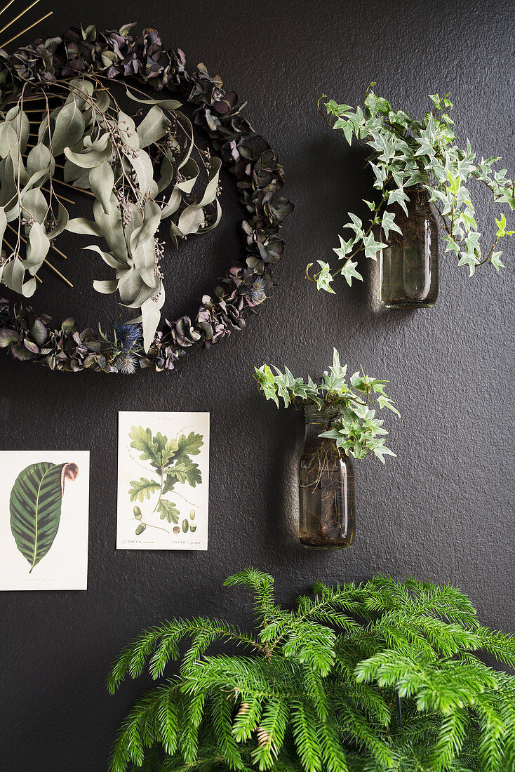 Deko mit Pflanzen und botanischen Postkarten an schwarzer Wand