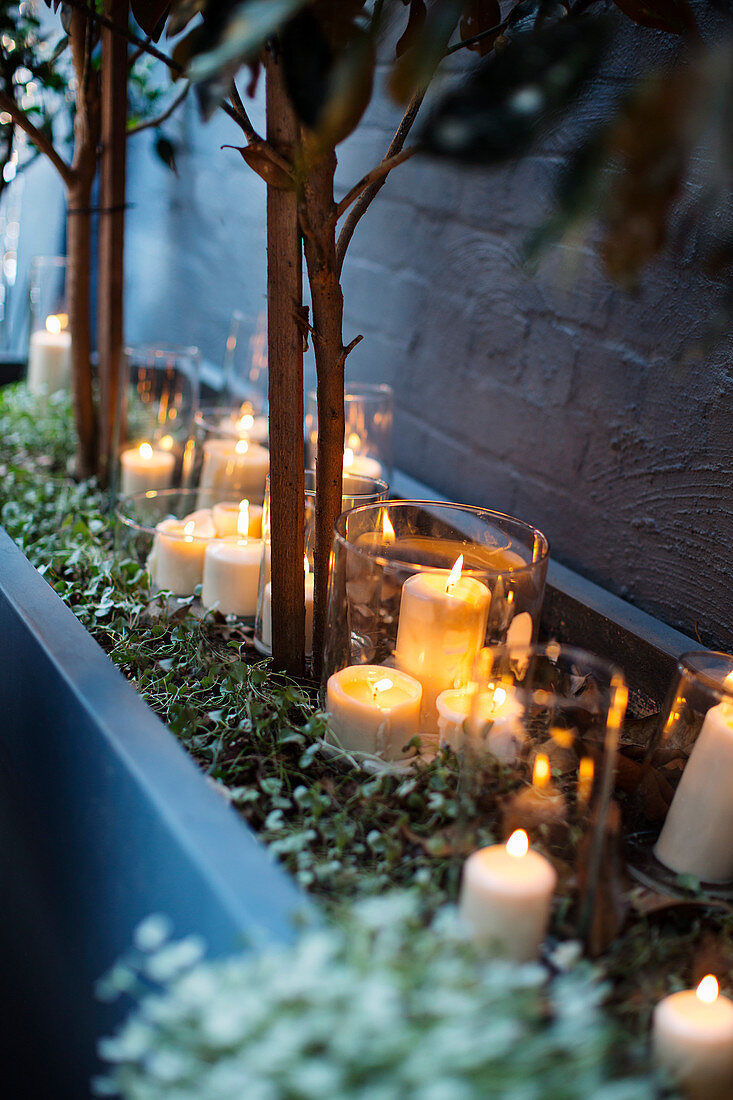 Weihnachtliche Kerzndekoration mit weißen Stumpenkerzen in Glaswindlichtern