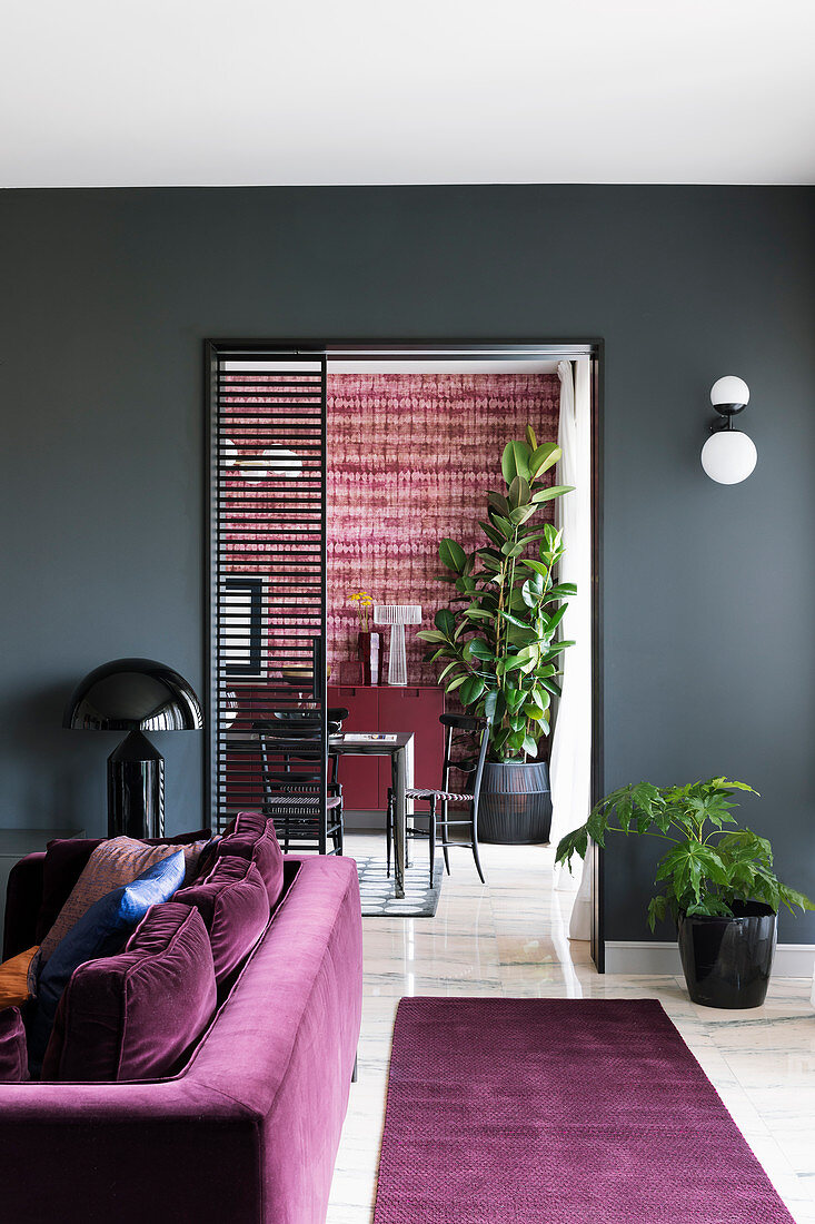 View from living room with grey wall into purple dining room