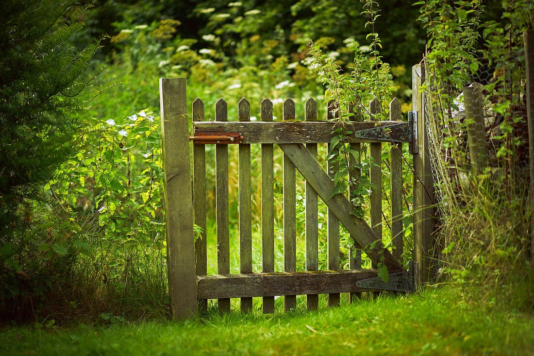 Weathered wooden garden gate and green lawn