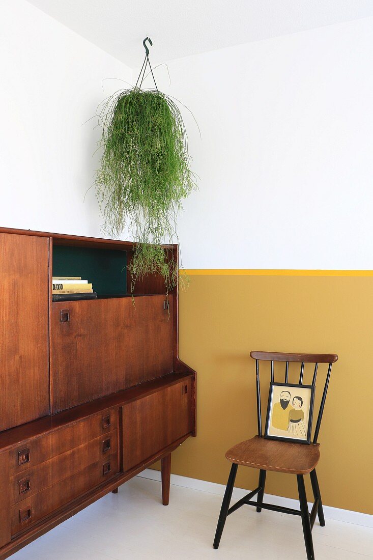 Trailing plant suspended above retro cabinet against wall with yellow dado