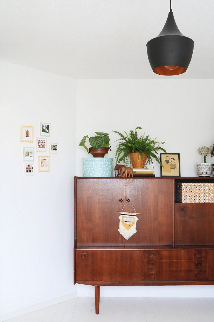 Plants and ornaments on top of 50s sideboard