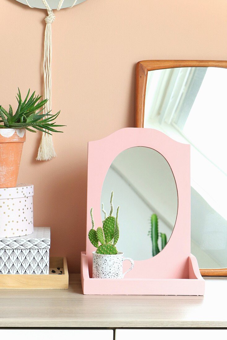 In Tasse gepflanzter Kaktus vor rosafarbenem Spiegel