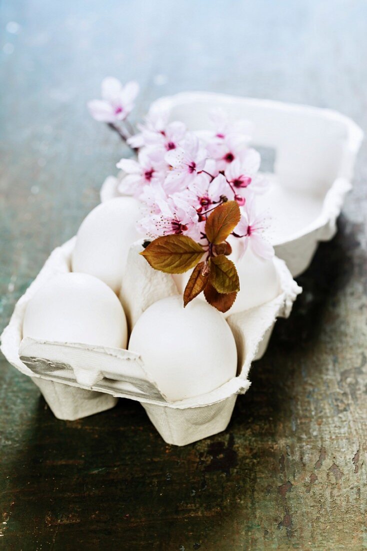 Eierkarton mit weissen Eiern und Kirschblüten auf Holztisch