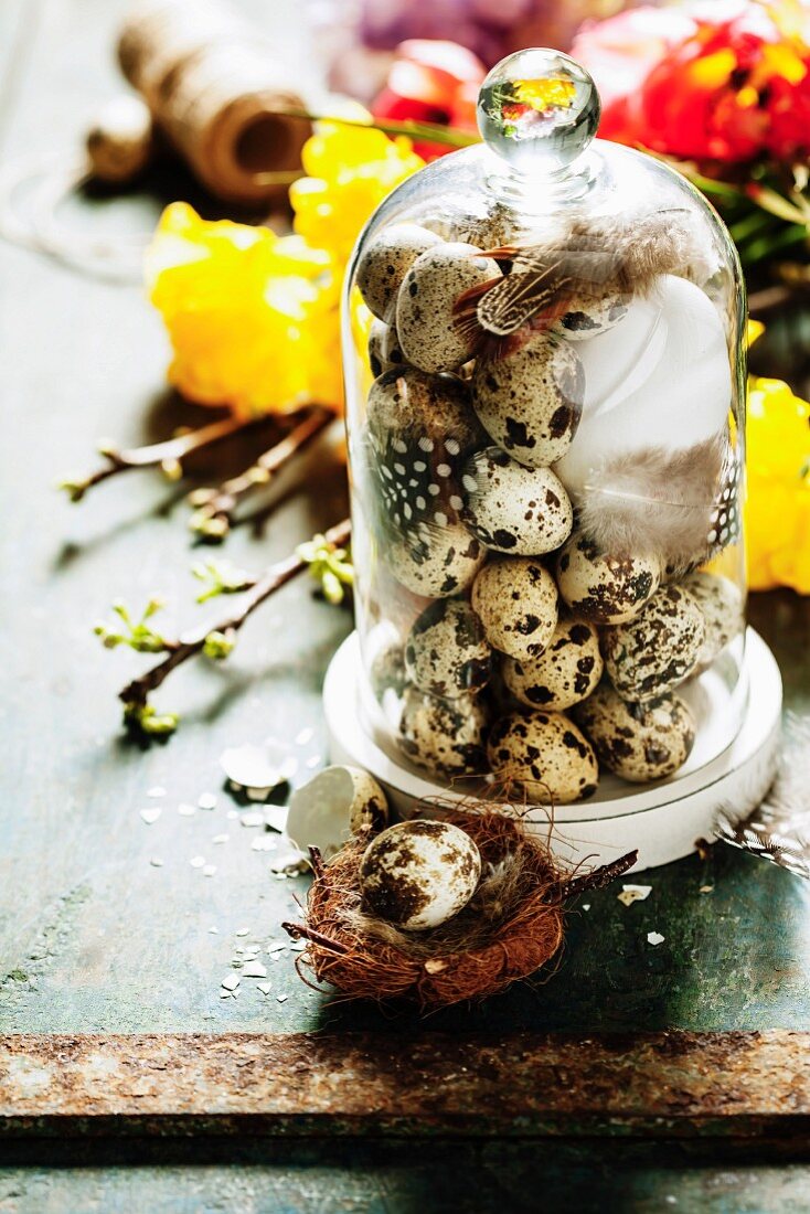 Quail eggs and easter decorations