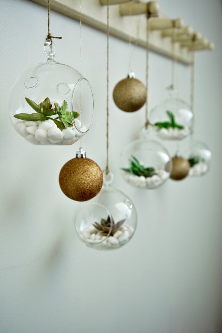 Christmas tree baubles and succulents in miniature terrariums hung from coat pegs