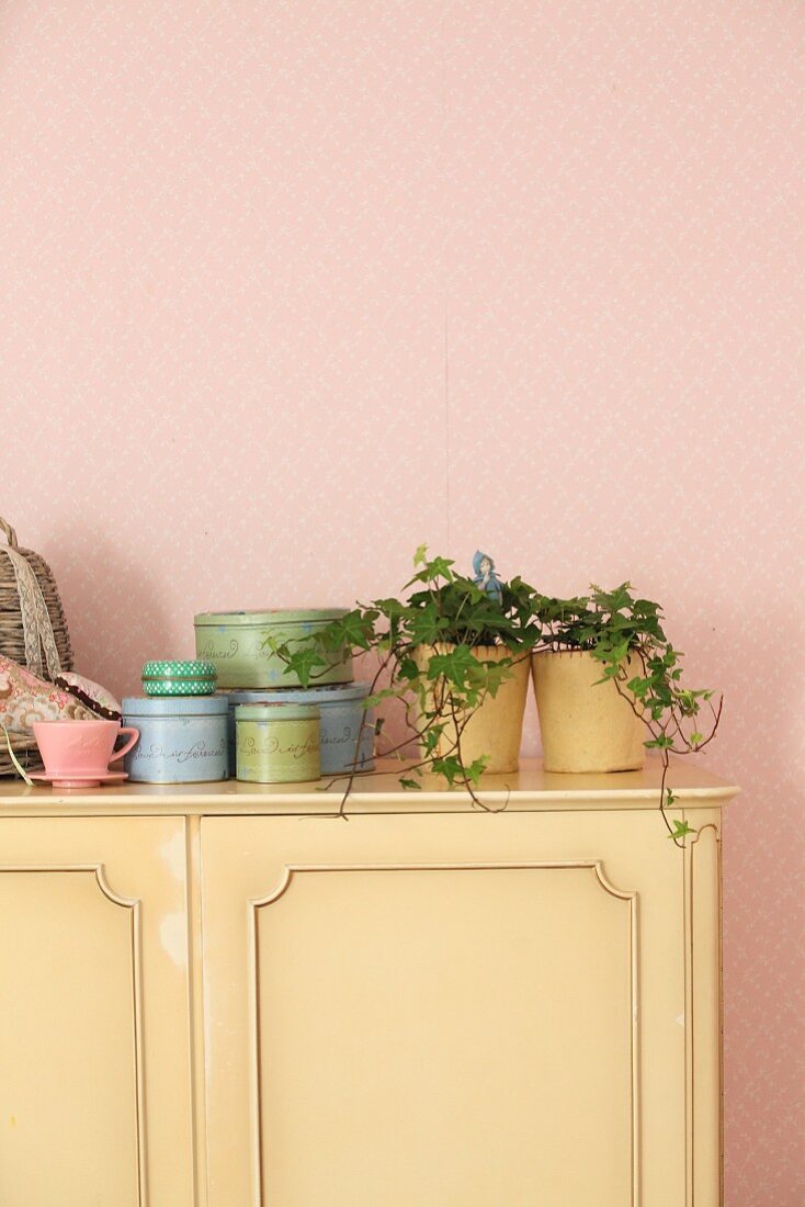 Zimmerpflanzen und Blechdosen auf pastellgelber Kommode vor rosafarbener Tapete