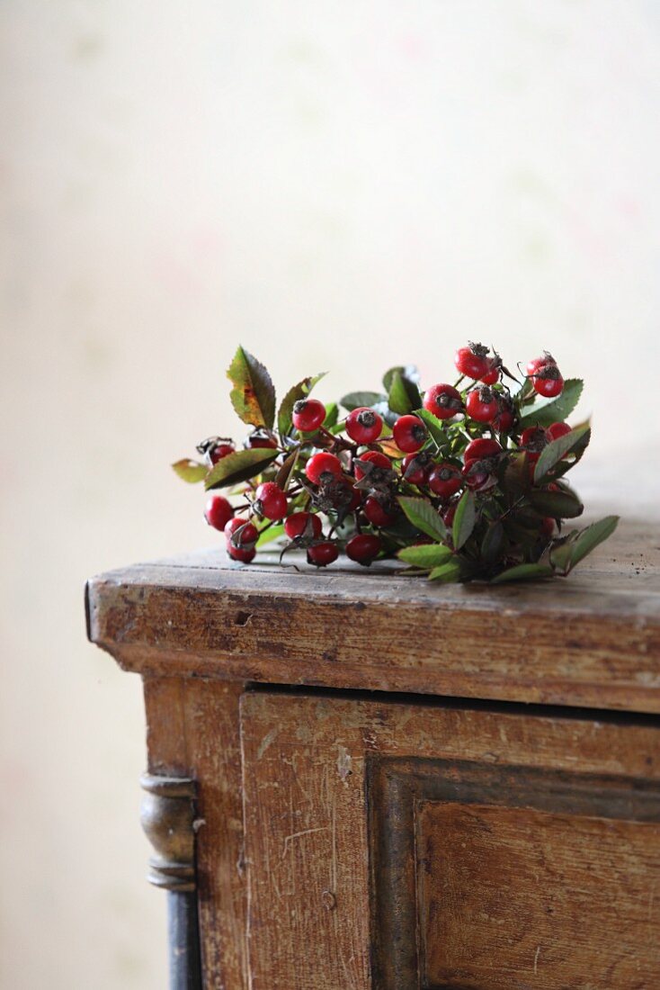 Posy of rose hips on top of vintage chest of drawers