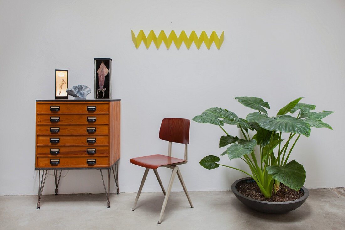 Gelbe Zickzack-Wandgarderobe, Schubladenkommode, Retro Stuhl und großblättriger Zimmerpflanze