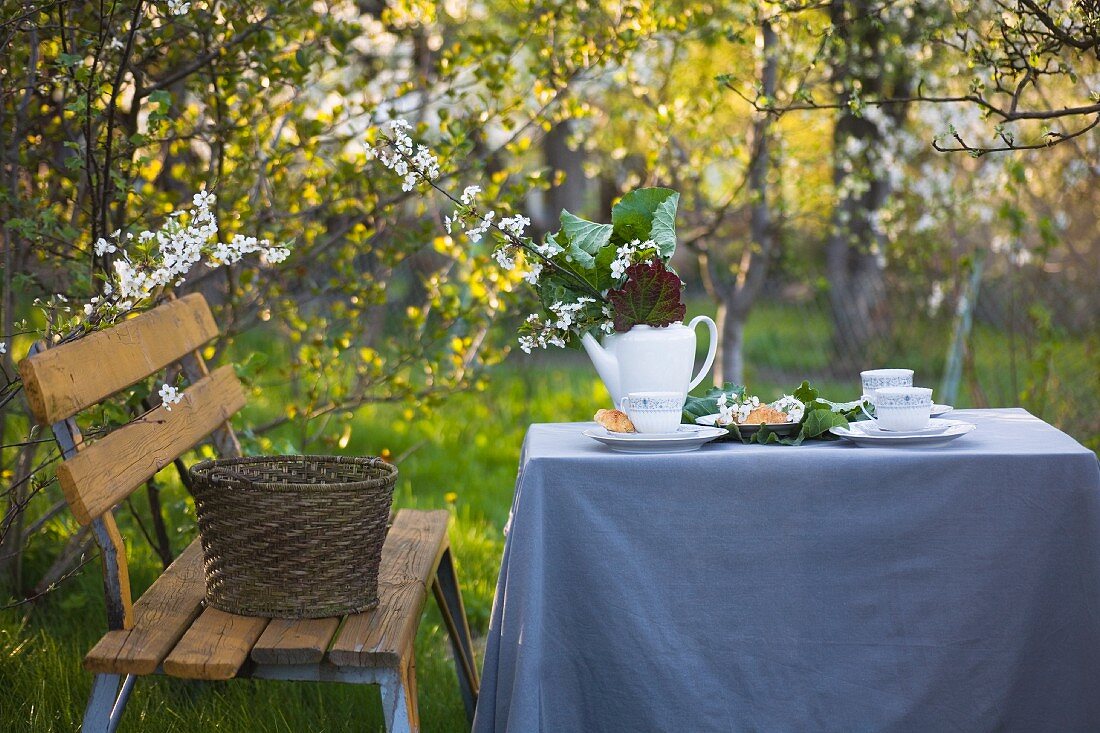 Bench, set garden table with grey tablecloth in front of flowering trees