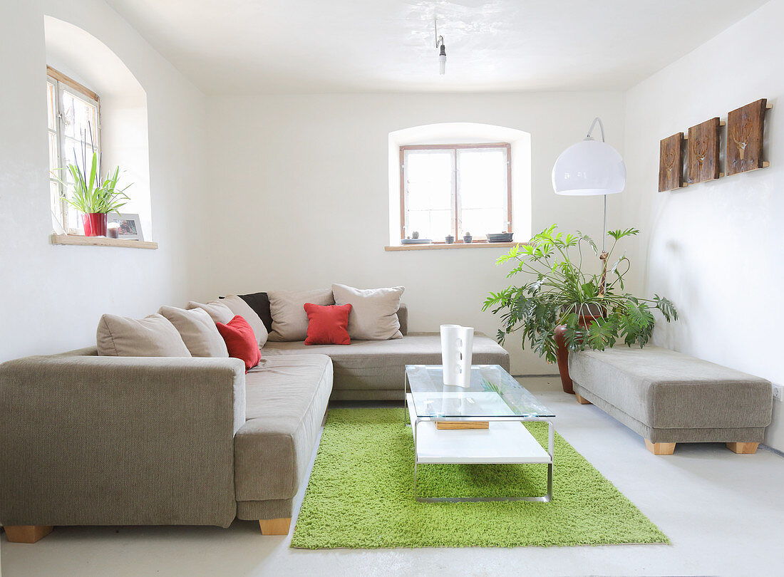 Graues Sofa vor grünem Teppich im kleinen Wohnzimmer