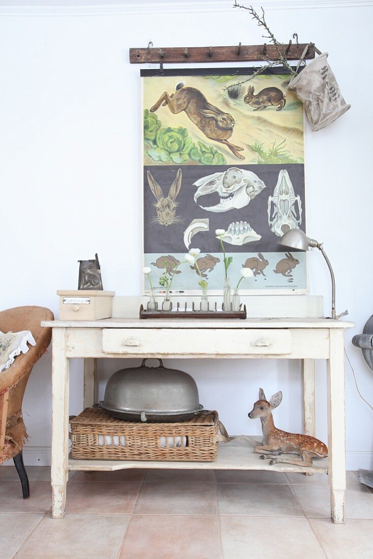 Poster with biological illustrations above stuffed animal on console table