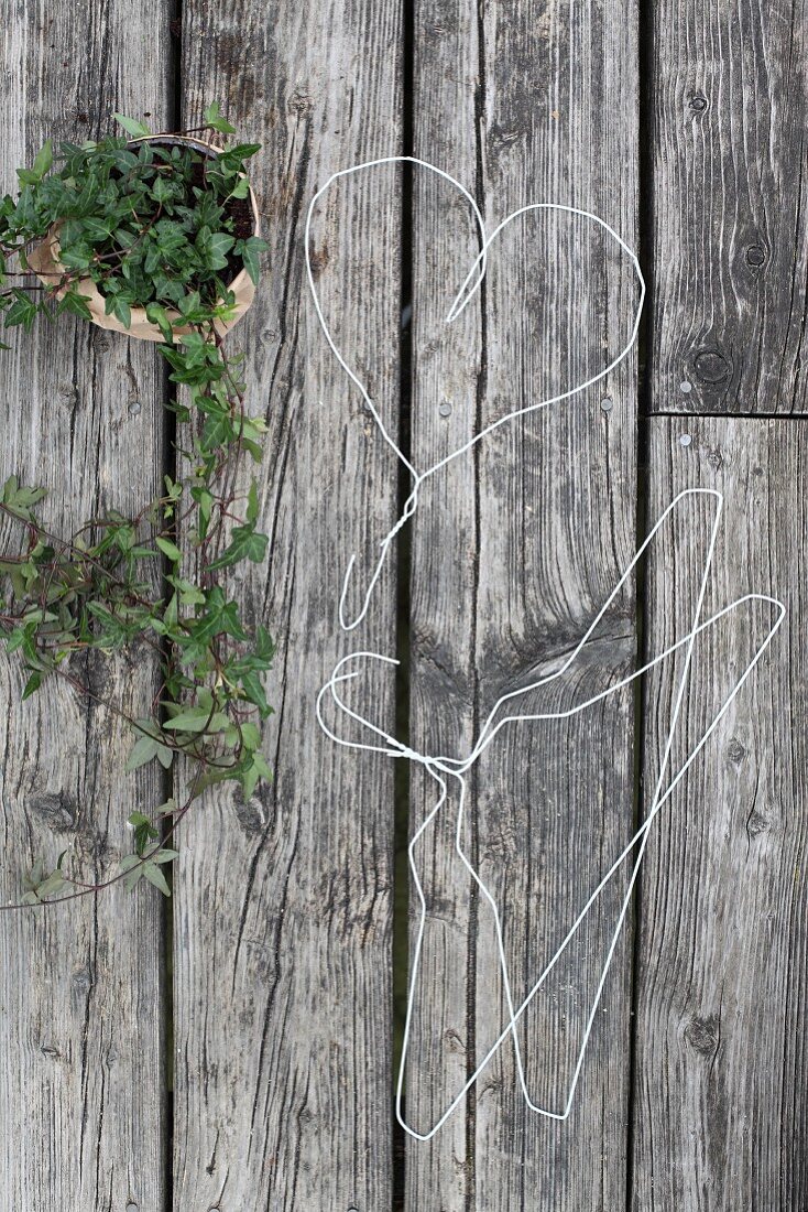 A heart shaped wire hanger beside an ivy plant on a wooden background