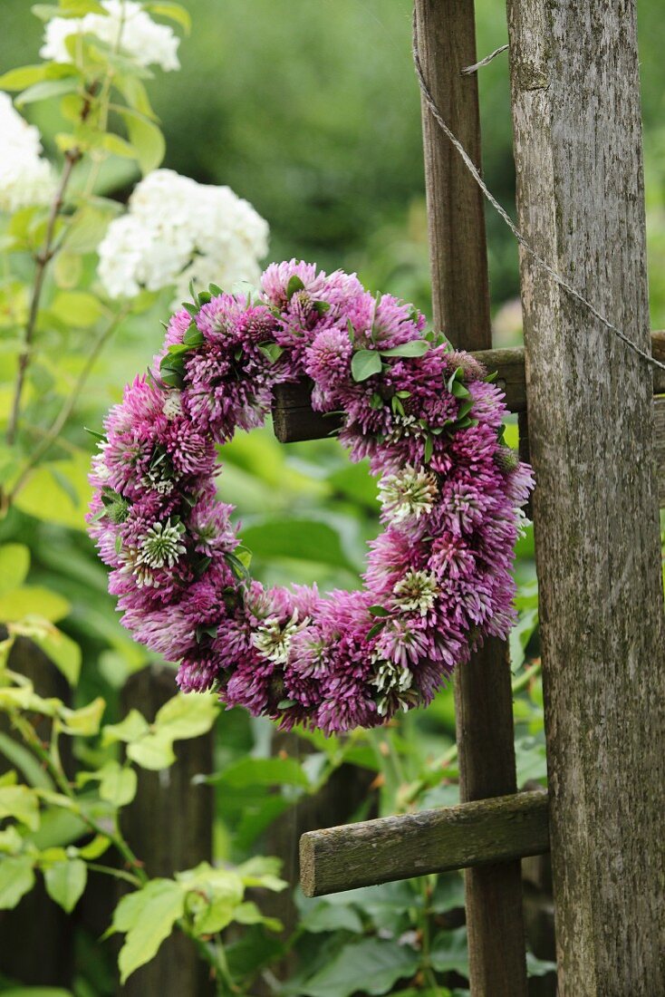 Wreath of clover flowers on weathered wooden trellis in garden