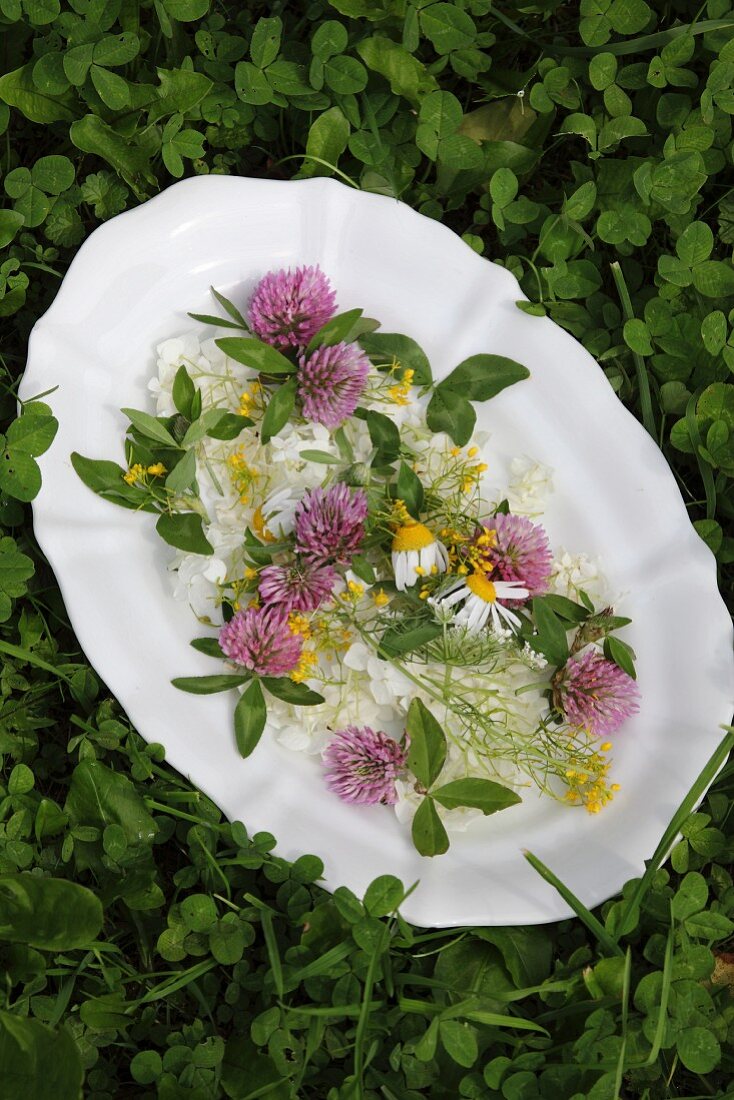 Potpourri of flowers on white china plate amongst green clover