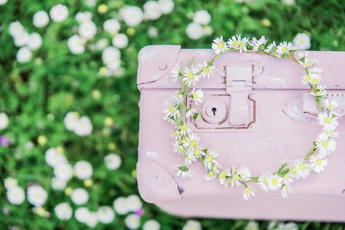 Wreath of daisies on pink suitcase on lawn
