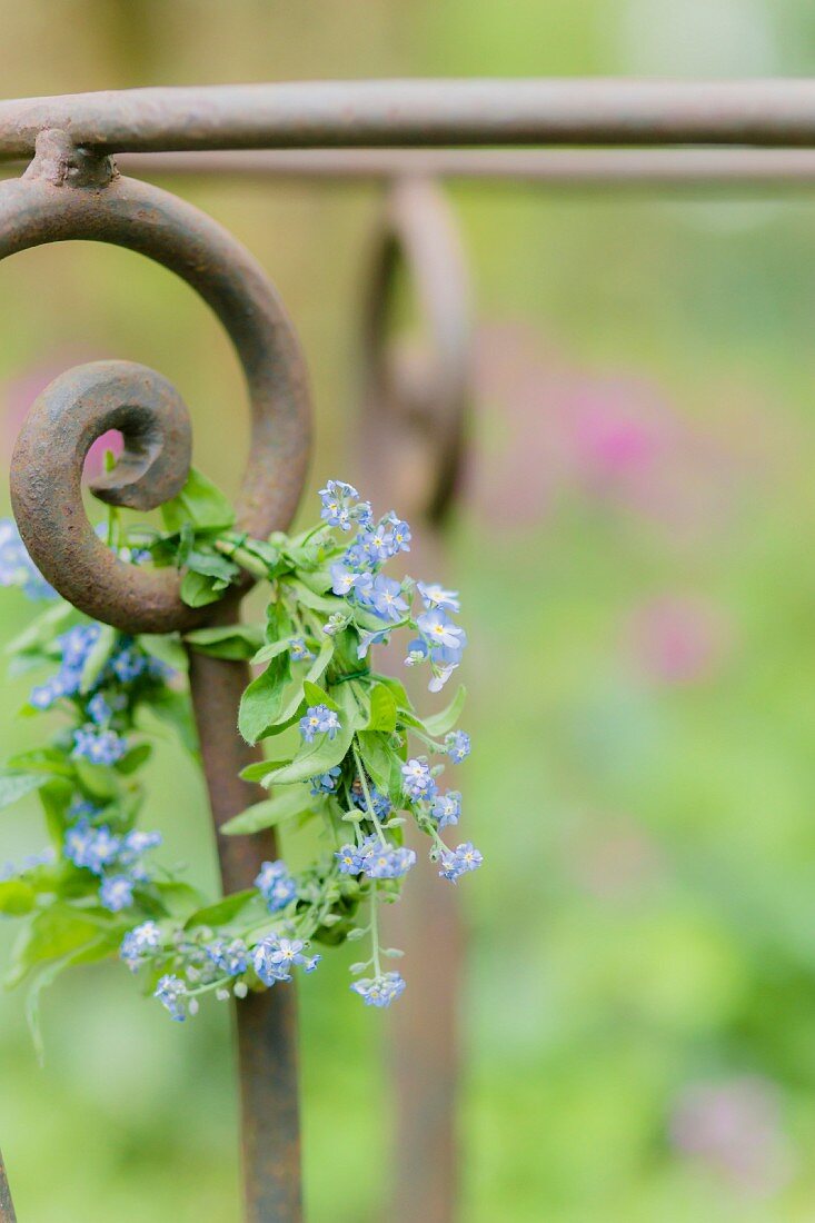 Wreath of forget-me-nots hung from wrought-iron frame