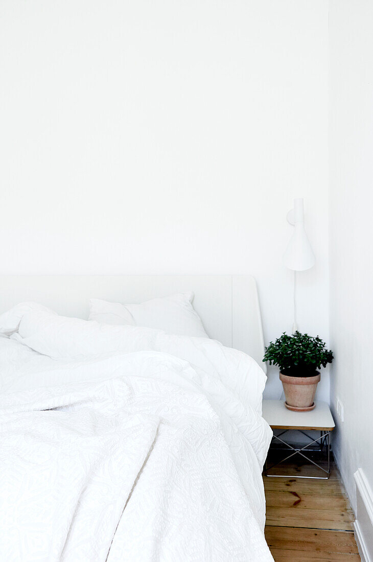 White bed line on bed with pale headboard, potted plant on bedside table and reading lamp in bedroom