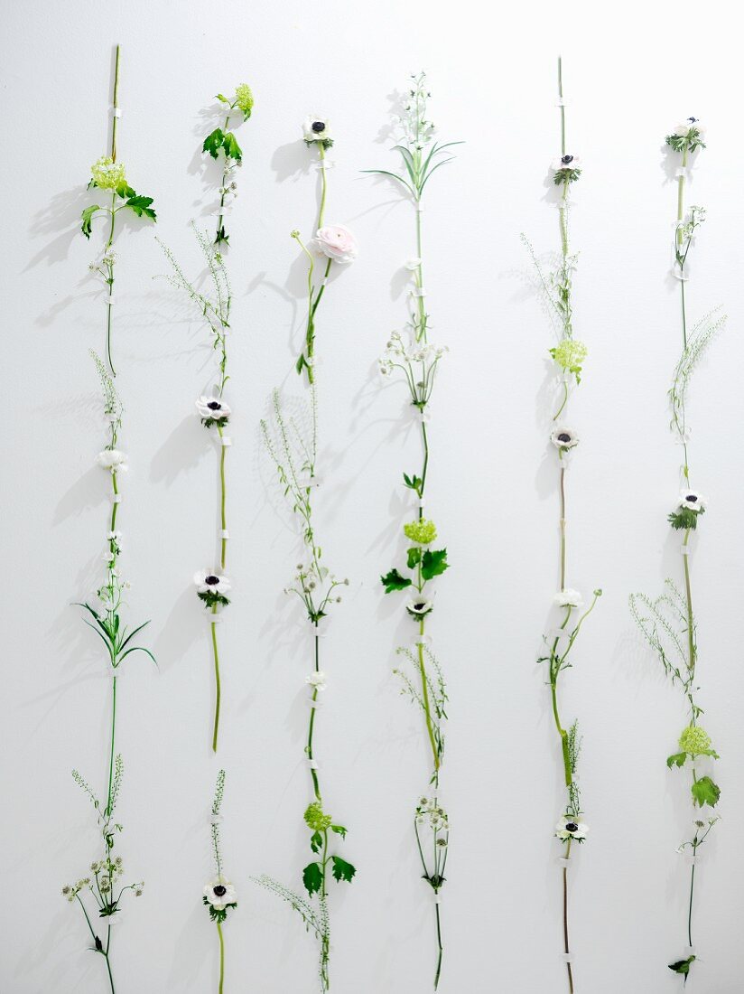 Wanddekoration aus angeklebten Blumenstängeln mit weissen Blüten