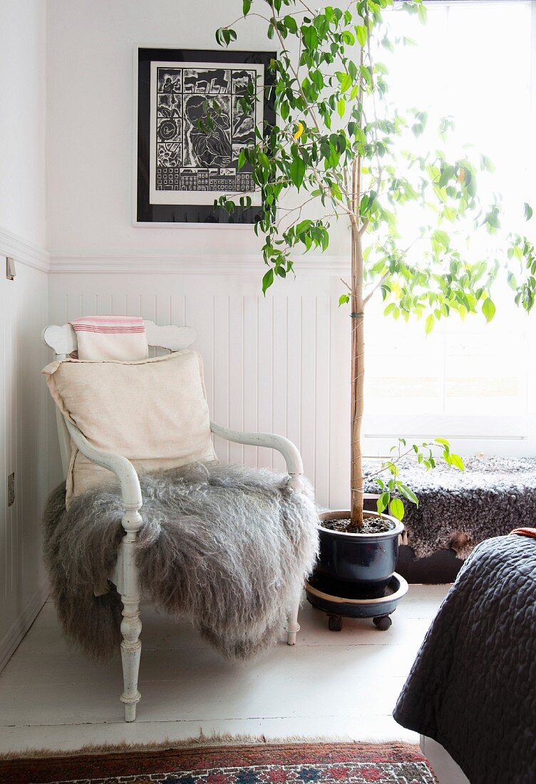 Grey fur blanket and cushion on old chair next to potted tree