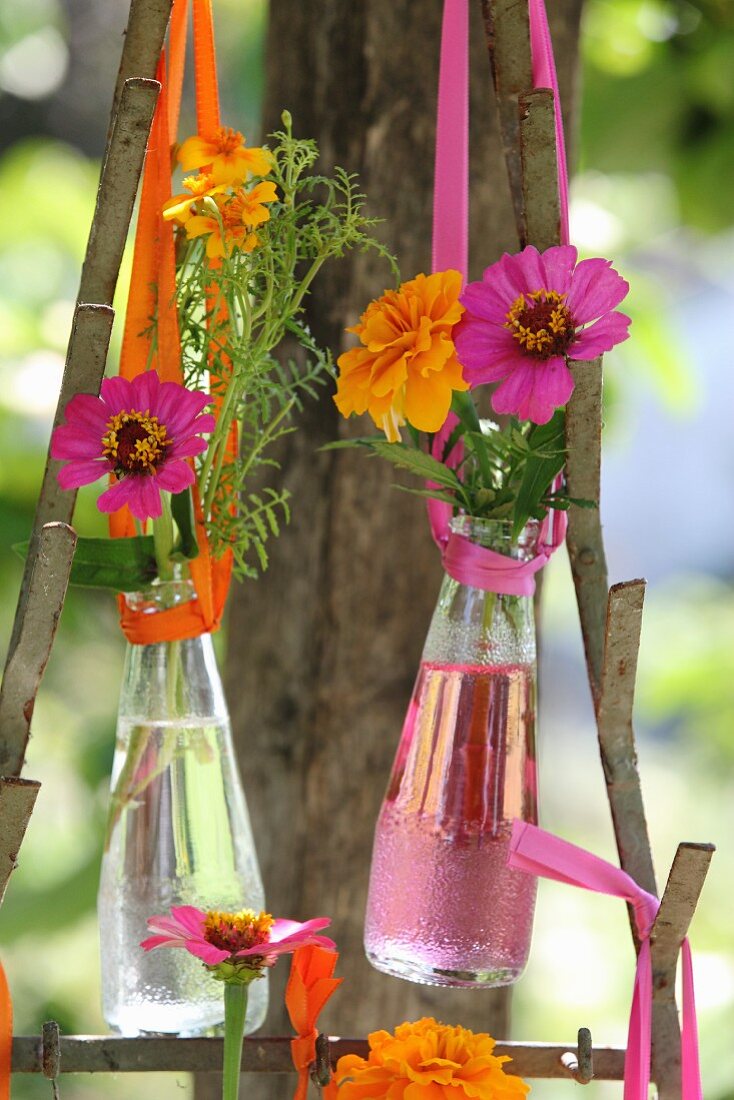 Arrangement of flowers in Campari bottles hung from metal frame
