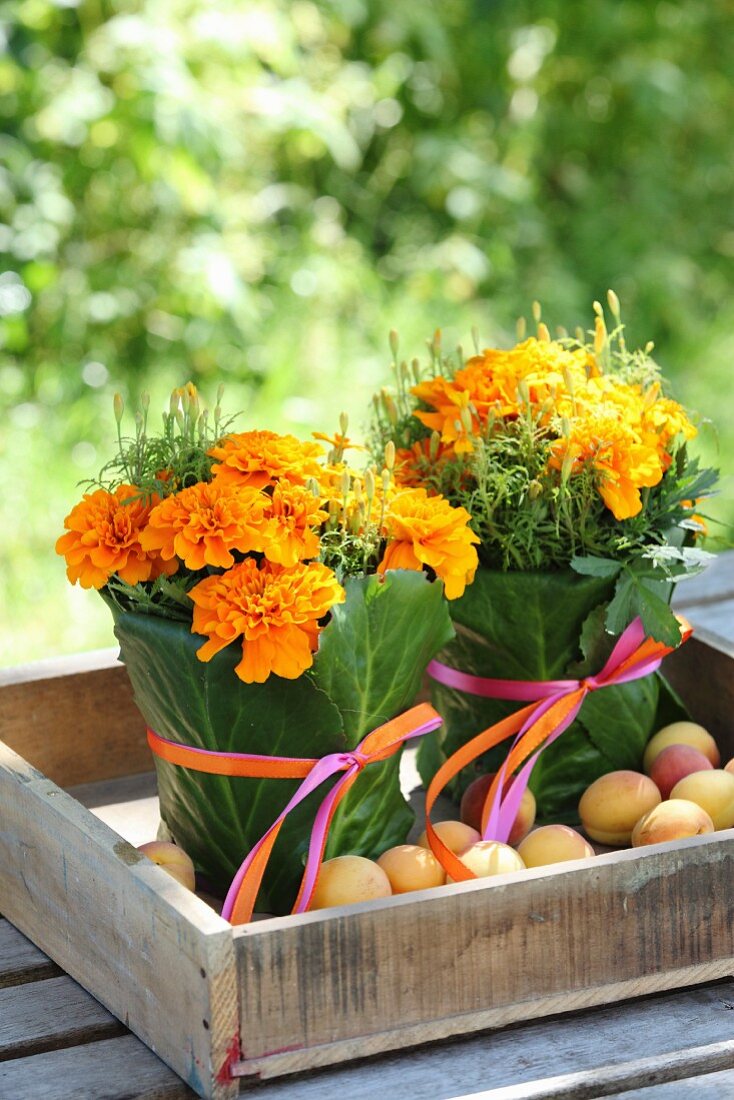 Tagetes wrapped in green leaves and ribbons and and apricots in wooden crate