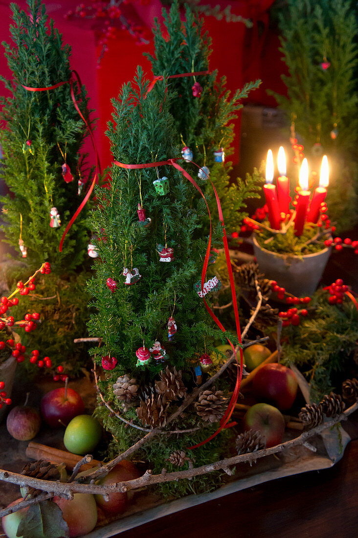 Tontopf mit Moos, vier Kerzen, Ilex und Koniferenzweige als Weihnachtsdeko