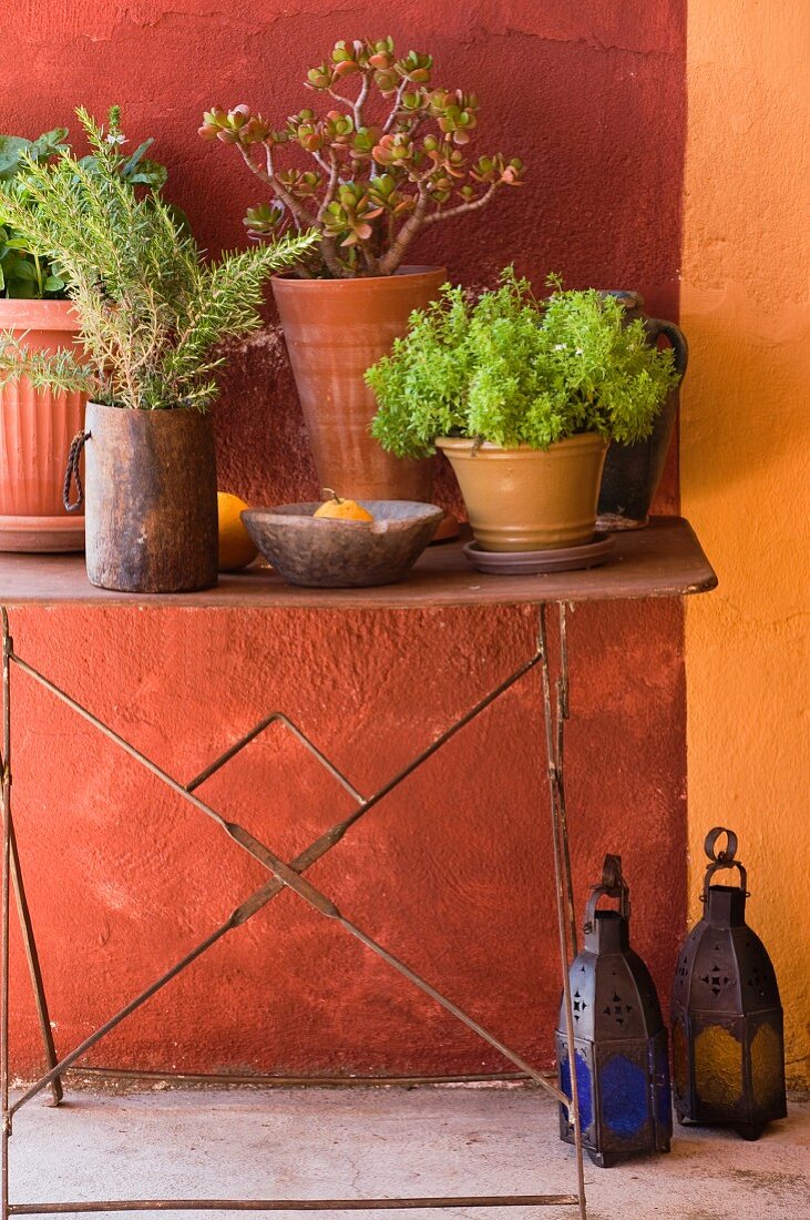 Pots of herbs and lanterns on rustic metal-framed table