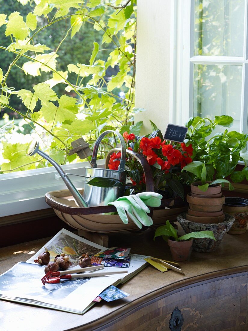 Gartenwerkzeug auf einer Kommode am offenen Fenster