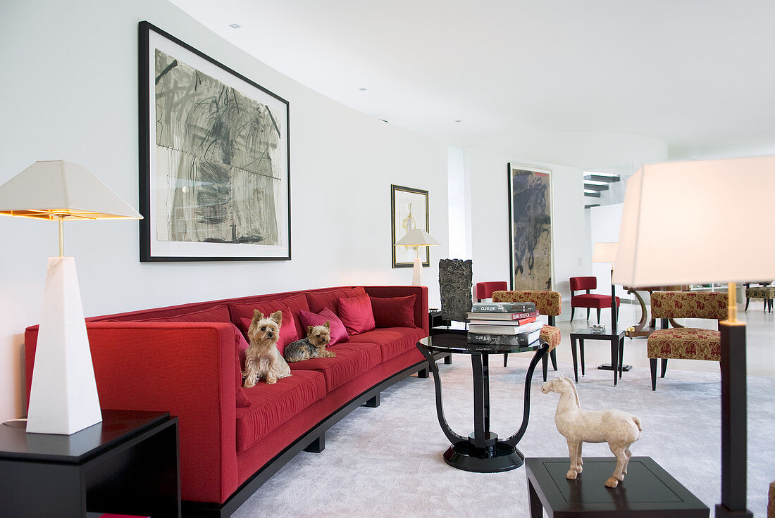 Two dogs on red sofa in living room with curved wall