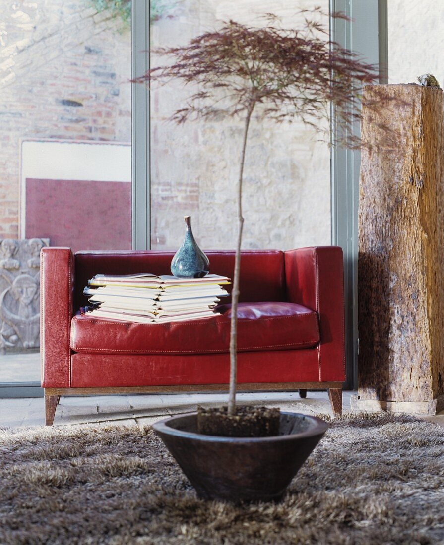 Rotes Ledersofa mit Bücherstapel und Vase vor Glasfassade, Zimmerbäumchen im Vordergrund