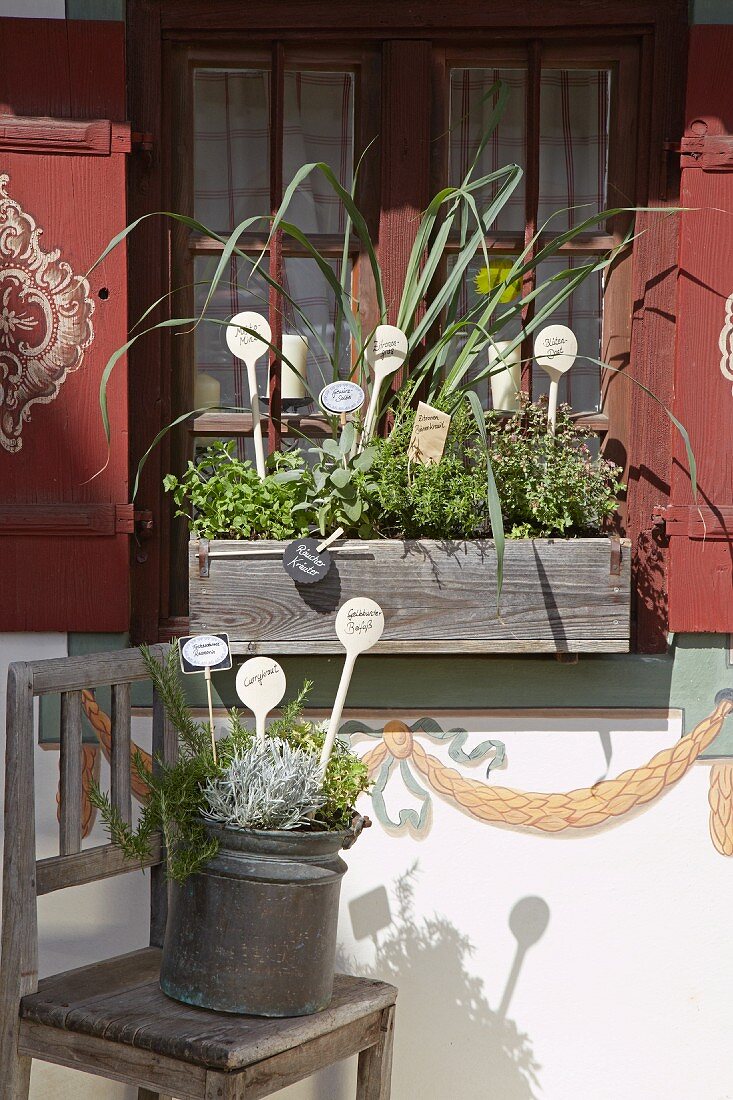 Mit Kräutern bepflanzter Holzkasten im Fenster mit bemalten Läden