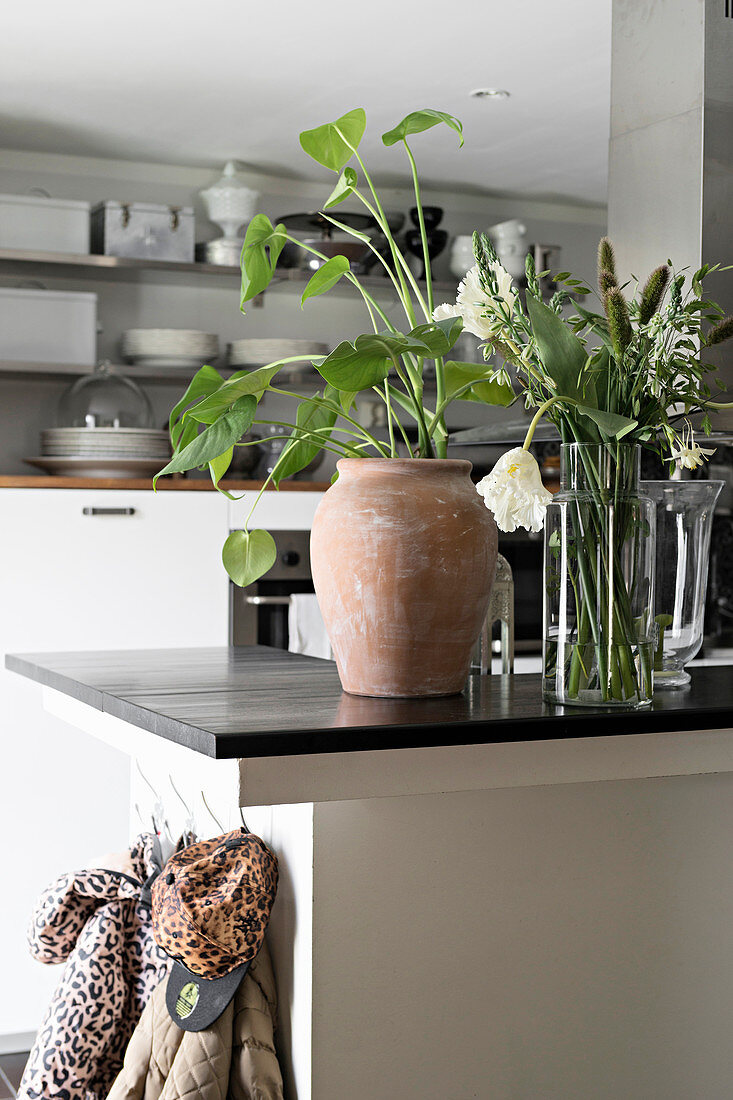 Houseplant in clay pot and vase of flowers on kitchen counter