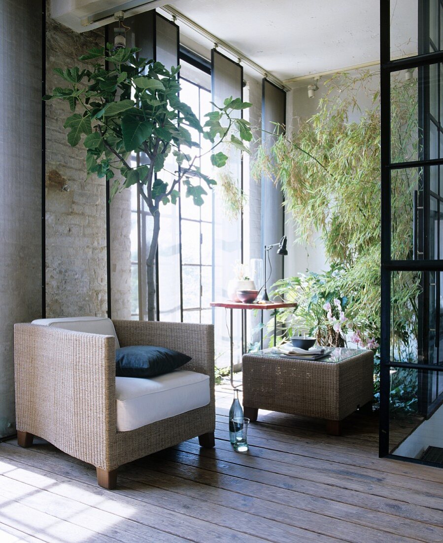 Cubist wicker furniture and large houseplants in loft apartment