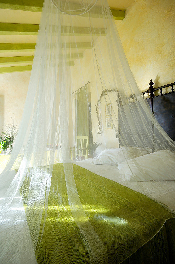 Mosquito net over bed in bedroom with green ceiling beams