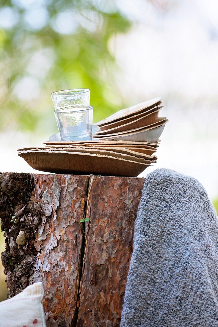 Gestapelte Papierteller und Gläser auf einem Baumstamm fürs Picknick