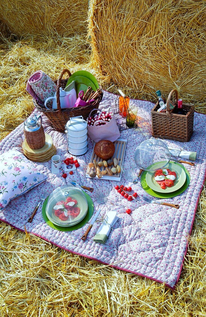 Picnic on blanket on straw amongst round bales of straw