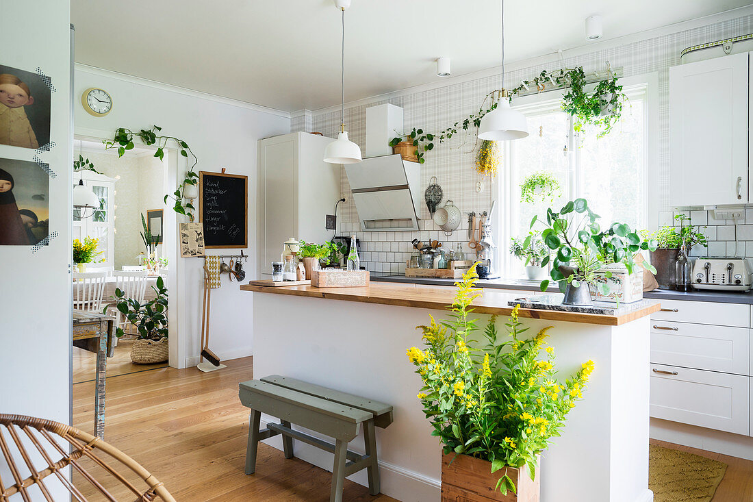 Helle Küche mit Kücheninsel und vielen Zimmerpflanzen