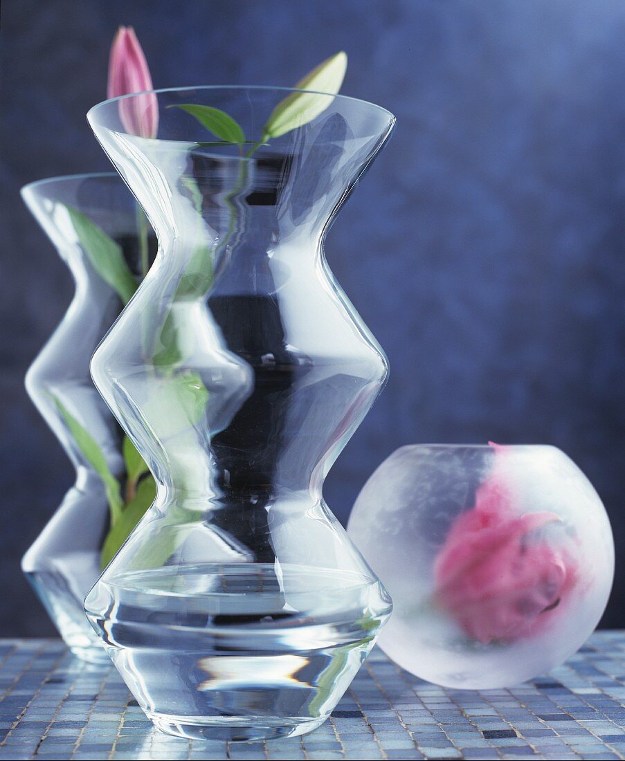 Lily buds in round and angular vases made from matt and clear glass