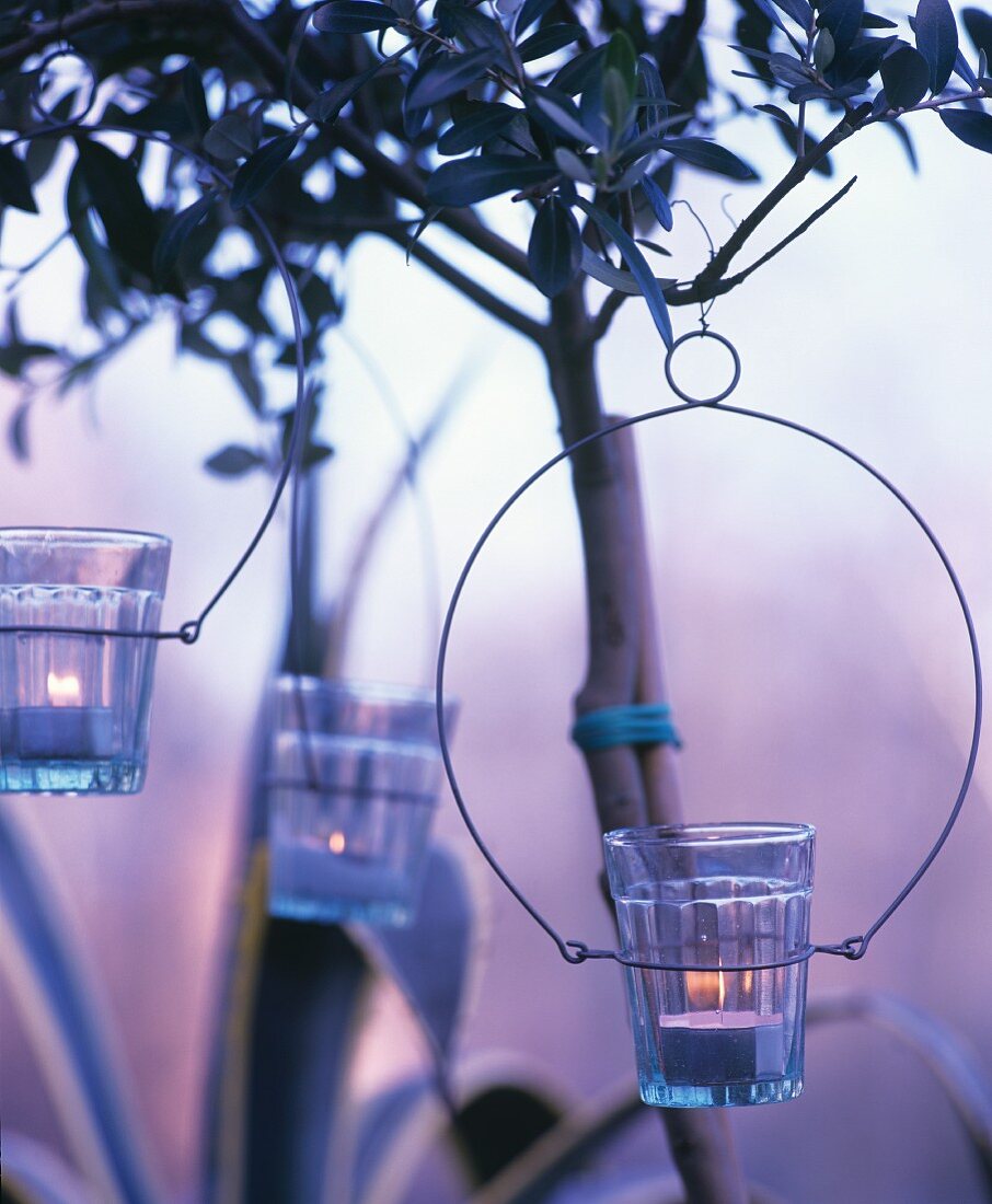 Candle lanterns hung from tree in round metal frames