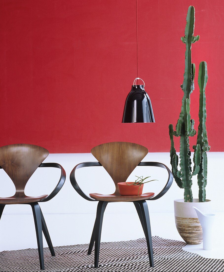 Zwei Designerstühle neben einem Kaktus vor rot-weißer Wand