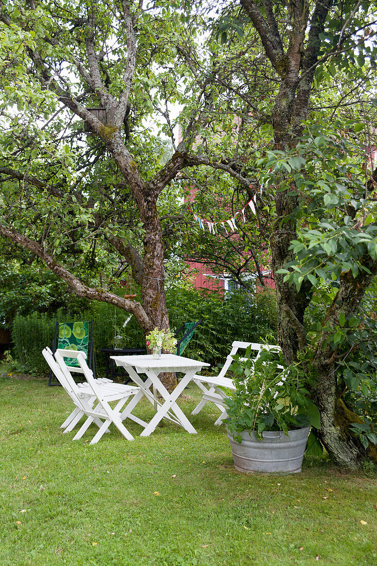 White garden furniture on lawn between old trees in garden