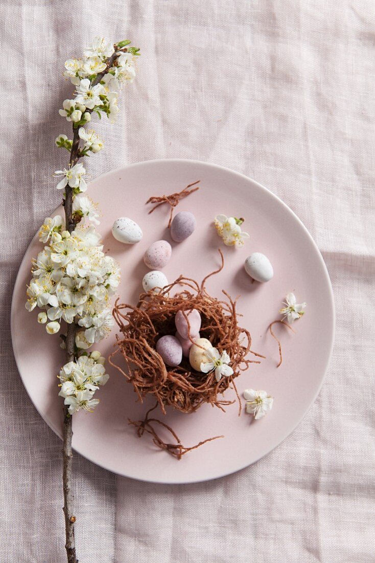 Obstblütenzweig und Osternest mit Schokoladeneiern auf Teller
