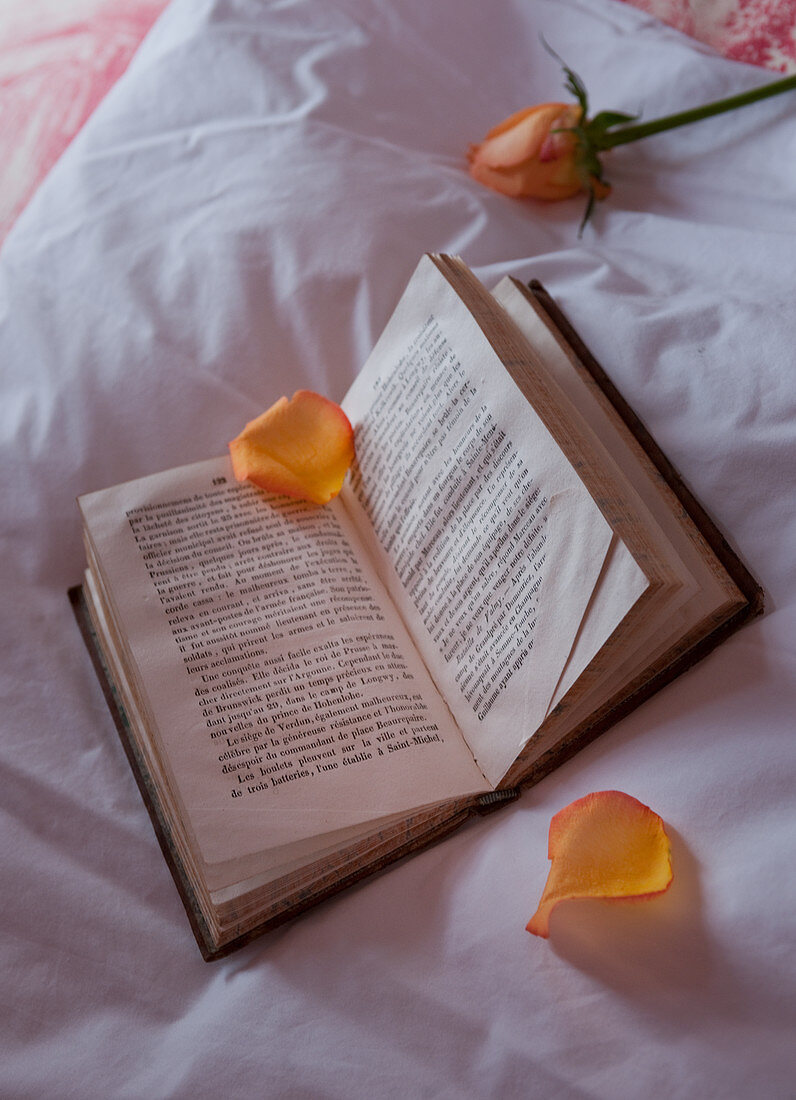 Gelbe Rosenblätter auf einem aufgeschlagenen Buch