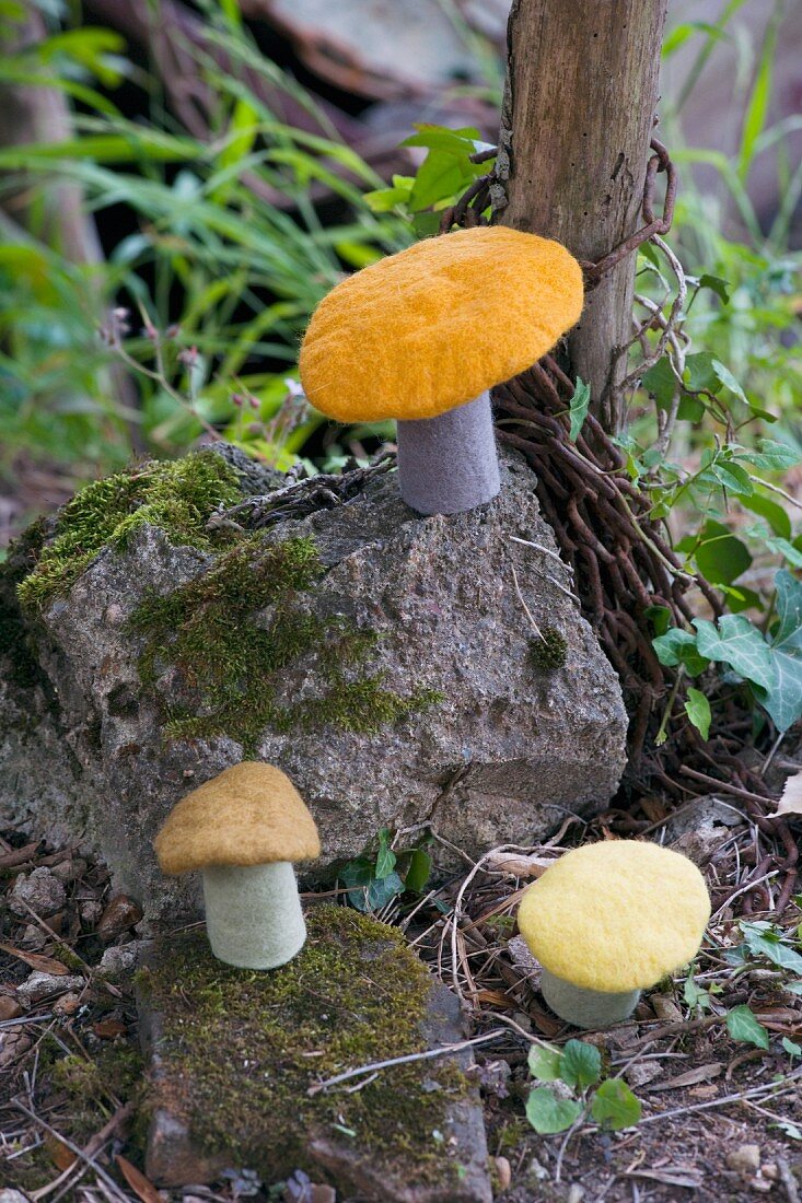 Pilze aus Filz auf bemoosten Steinen und Waldboden