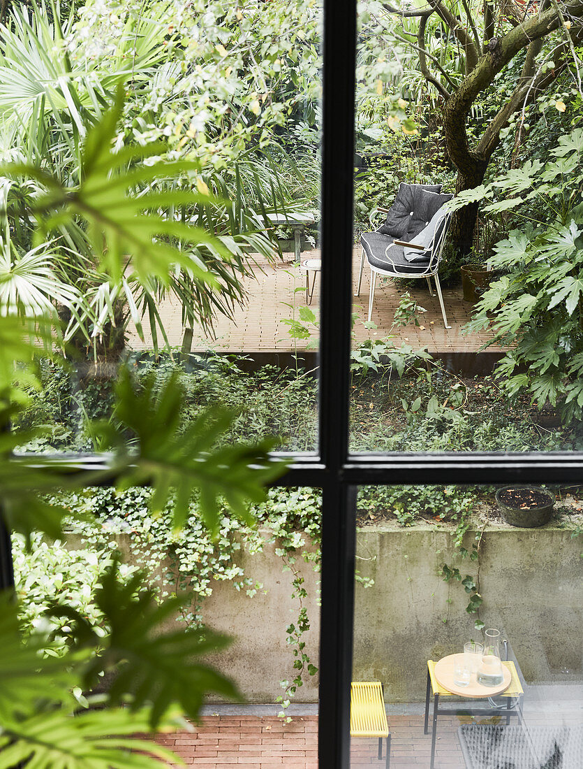 Blick durchs Fenster auf Hinterhofgarten mit zwei Ebenen