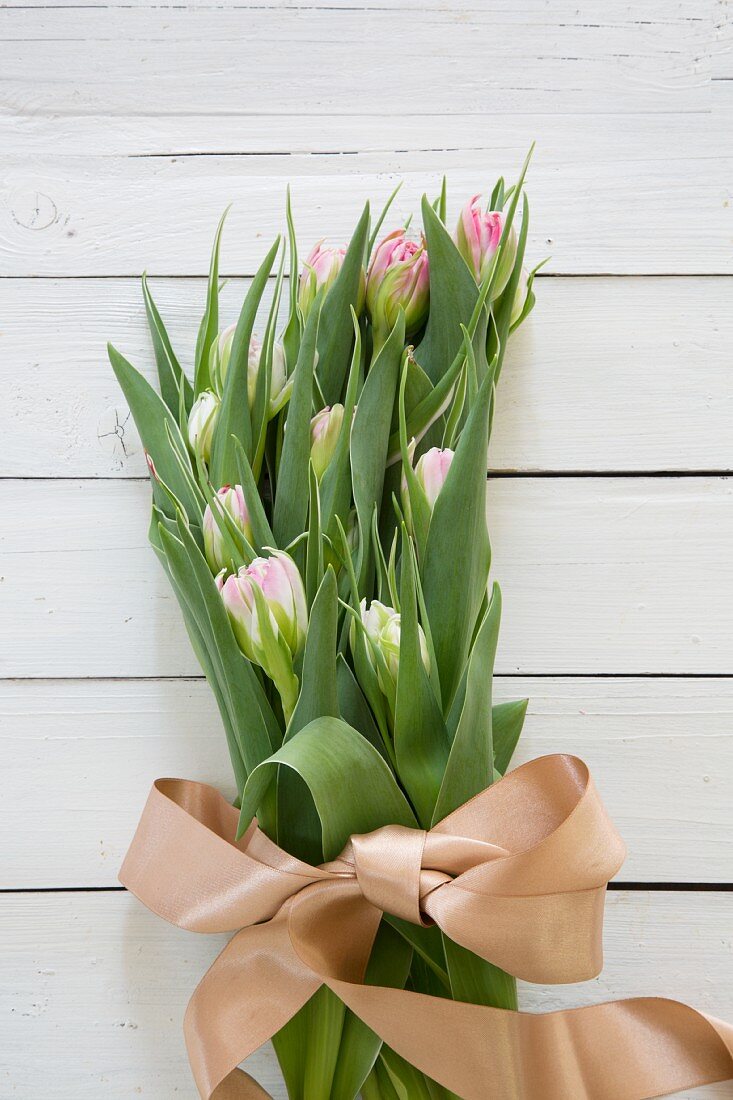 Bund Tulpen mit Satinschleife auf weißen Brettern