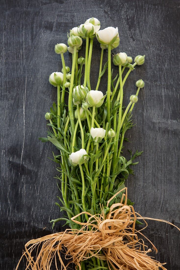Bunch of white ranunculus wrapped in raffia on black wooden surface