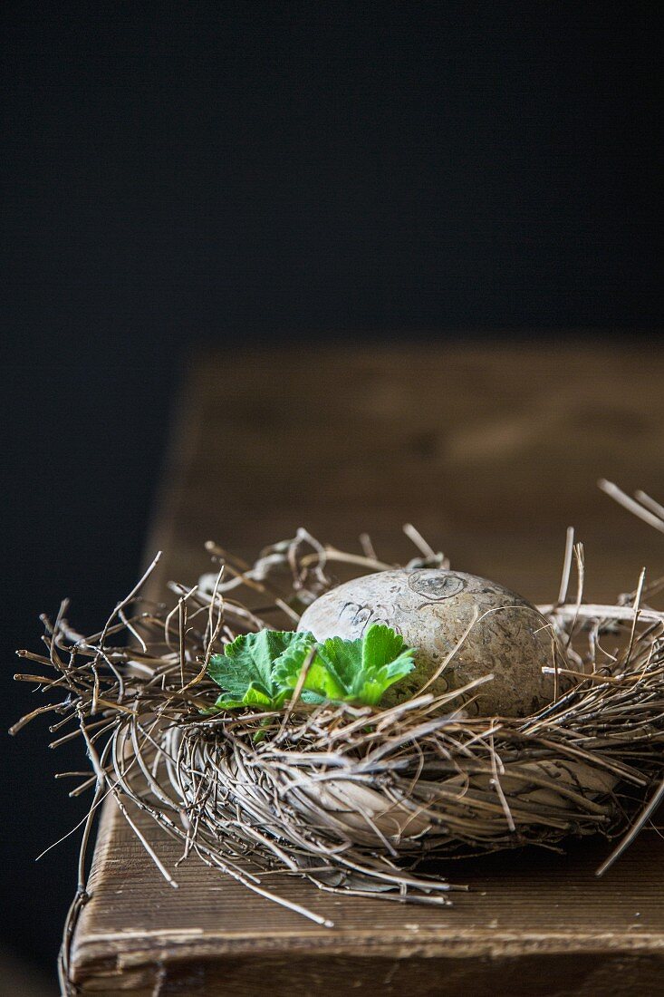 Kranz aus Zweigen um ein Ei vor schwarzem Hintergrund