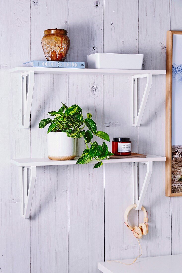 White DIY wall bracket with green plant on plank wall
